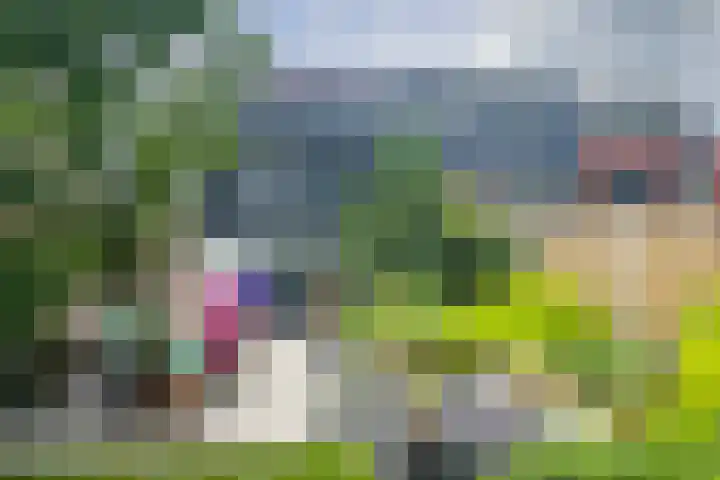 Hoek van de Dijk 15 Zaamslag thumbnail 27