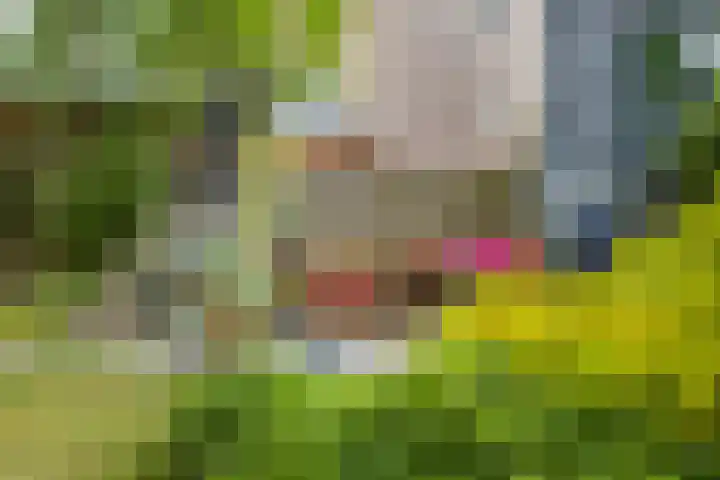 Hoek van de Dijk 15 Zaamslag thumbnail 28
