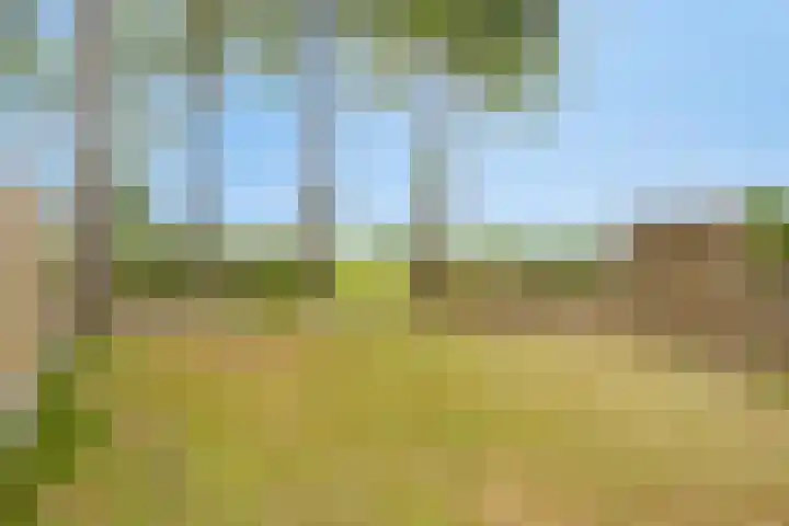 Hoek van de Dijk 15 Zaamslag thumbnail 29