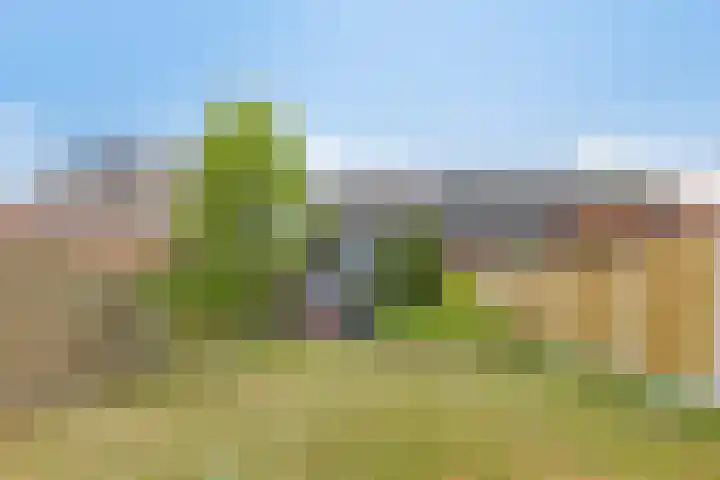 Hoek van de Dijk 15 Zaamslag thumbnail 30
