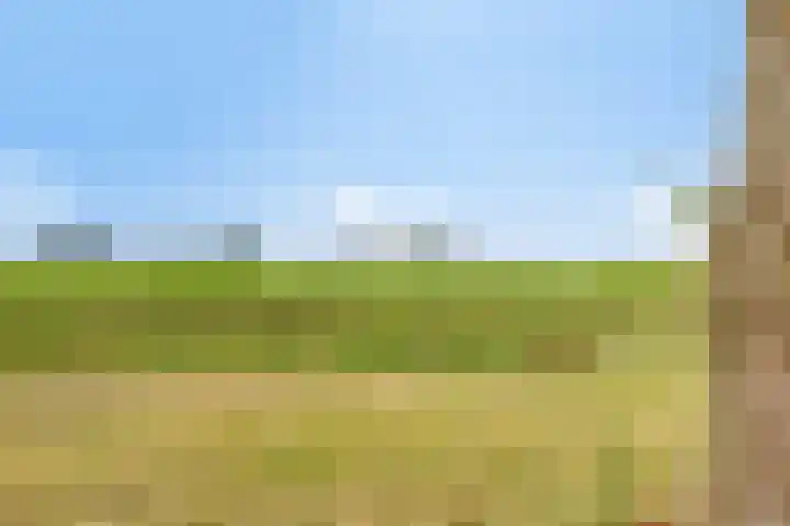 Hoek van de Dijk 15 Zaamslag thumbnail 31