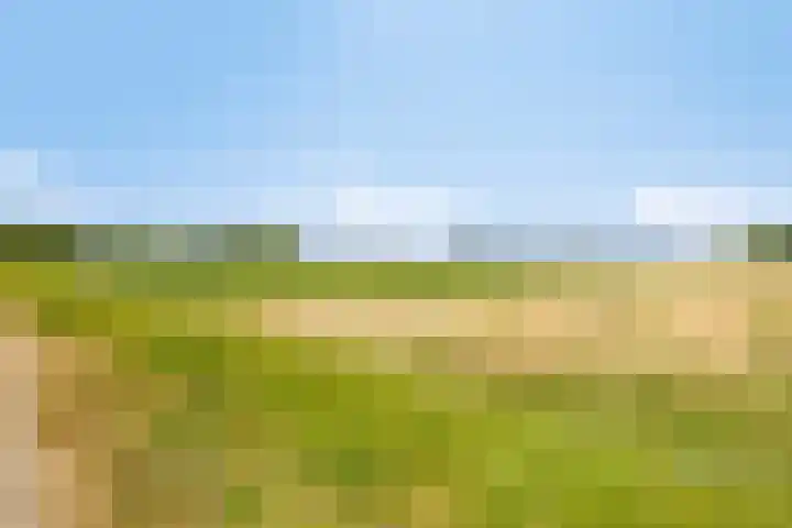 Hoek van de Dijk 15 Zaamslag thumbnail 32
