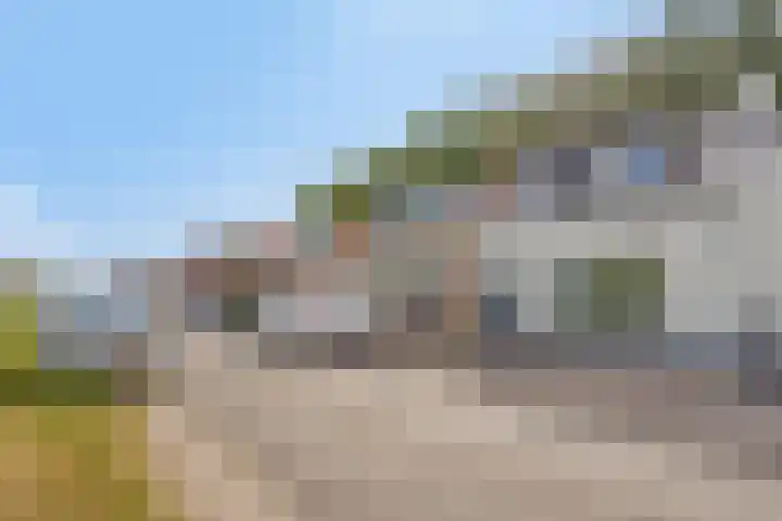 Hoek van de Dijk 15 Zaamslag thumbnail 33