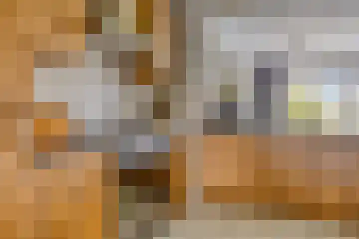 Hoek van de Dijk 15 Zaamslag thumbnail 4