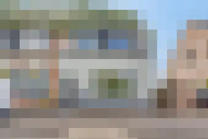 Hoek van de Dijk 15 Zaamslag thumbnail 5