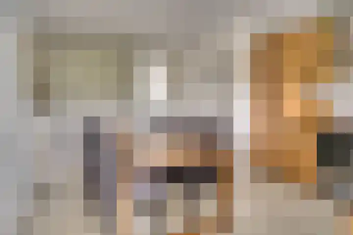 Hoek van de Dijk 15 Zaamslag thumbnail 9
