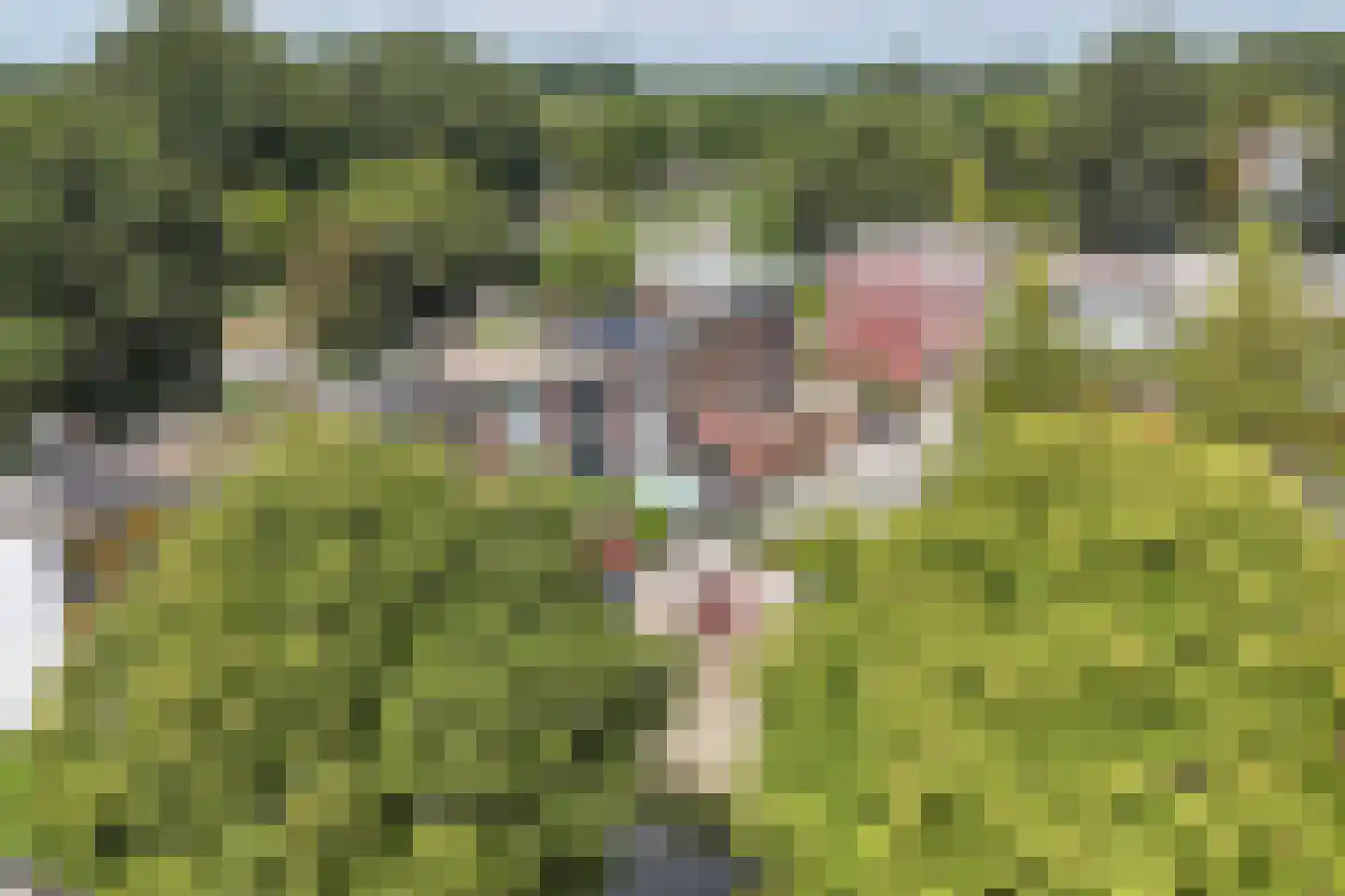 Hoek van het IJ 38 Lelystad thumbnail 5