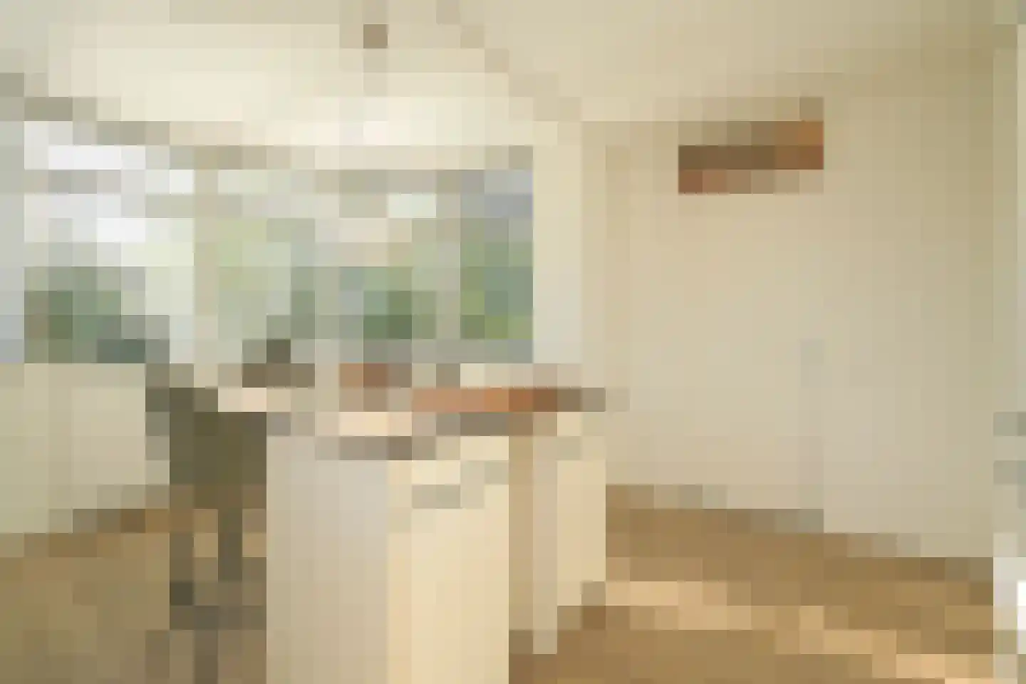 Hoek van Hollandlaan 1 Den Haag thumbnail 12