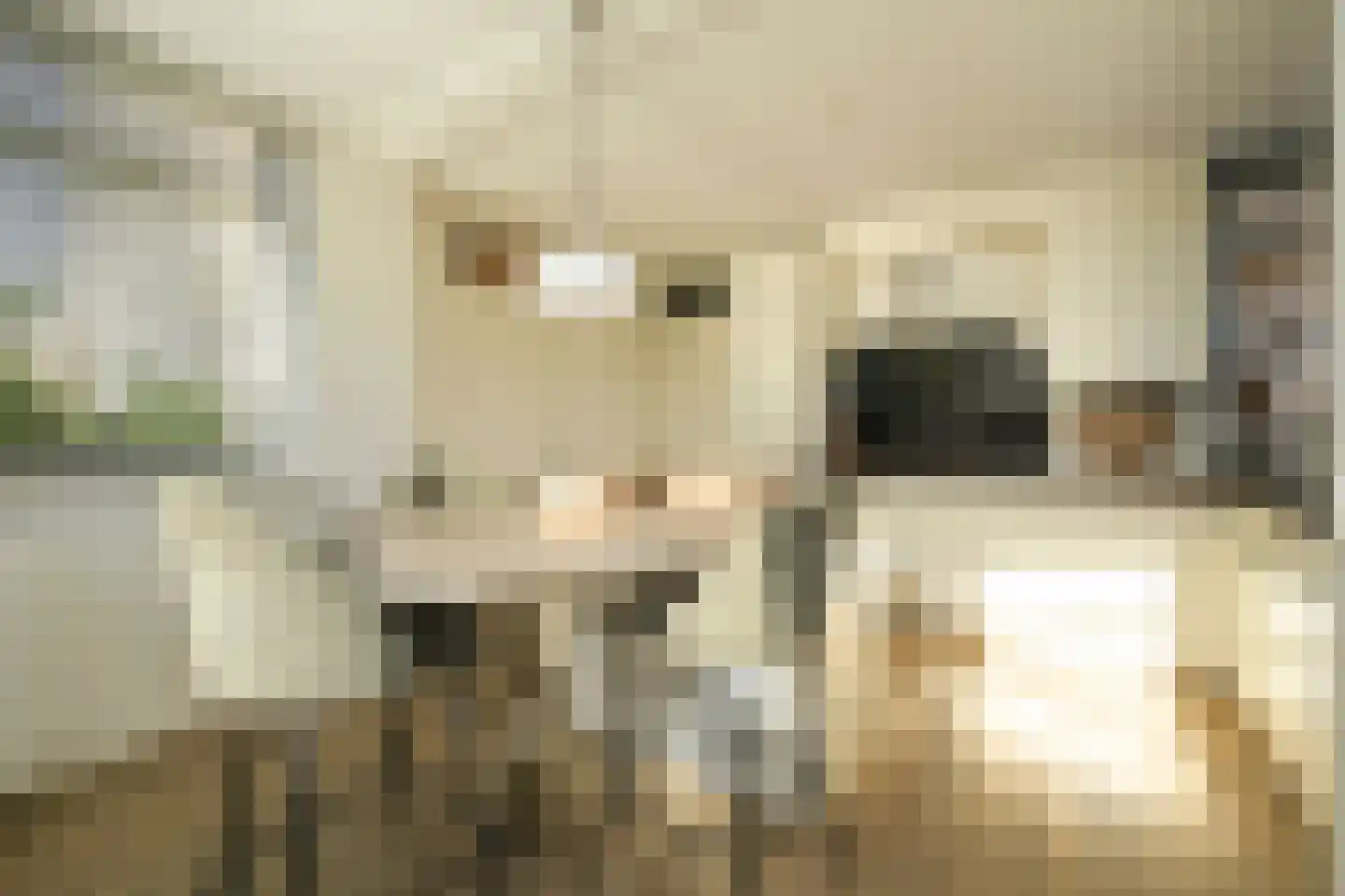 Hoek van Hollandlaan 1 Den Haag thumbnail 14