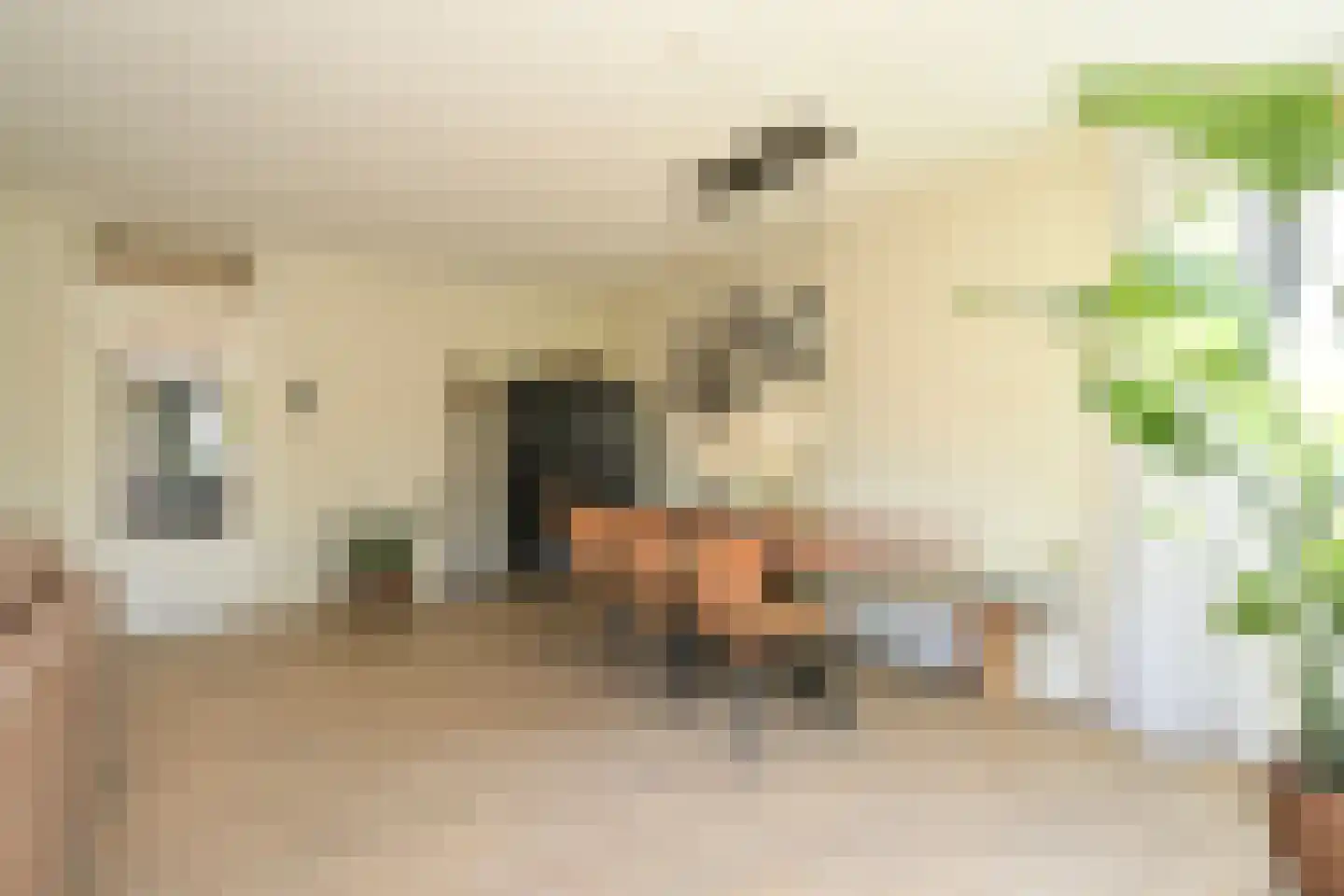 Hoek van Hollandlaan 1 Den Haag thumbnail 21