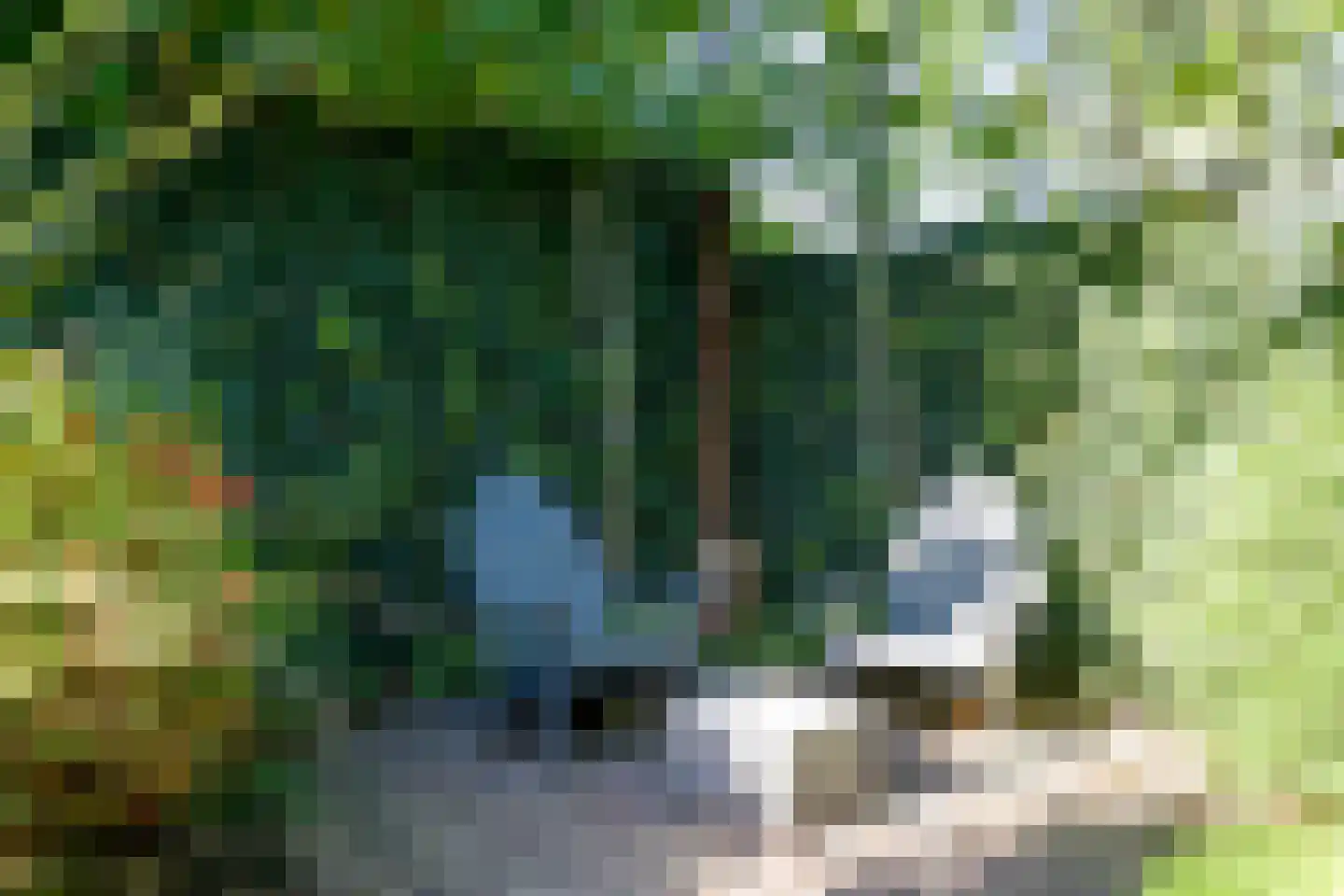 Hoek van Hollandlaan 1 Den Haag thumbnail 27