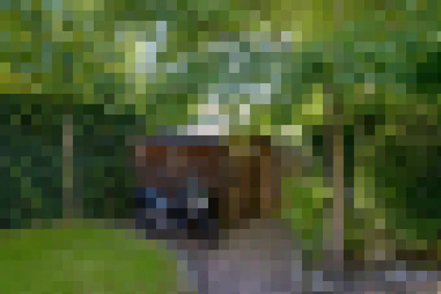 Hoek van Hollandlaan 1 Den Haag thumbnail 32