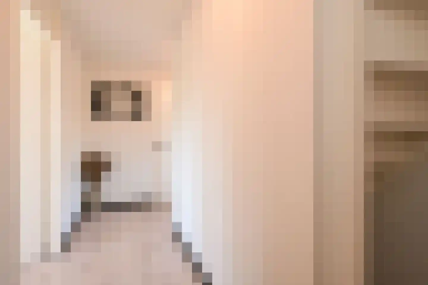 Hoek van Hollandlaan 1 Den Haag thumbnail 38