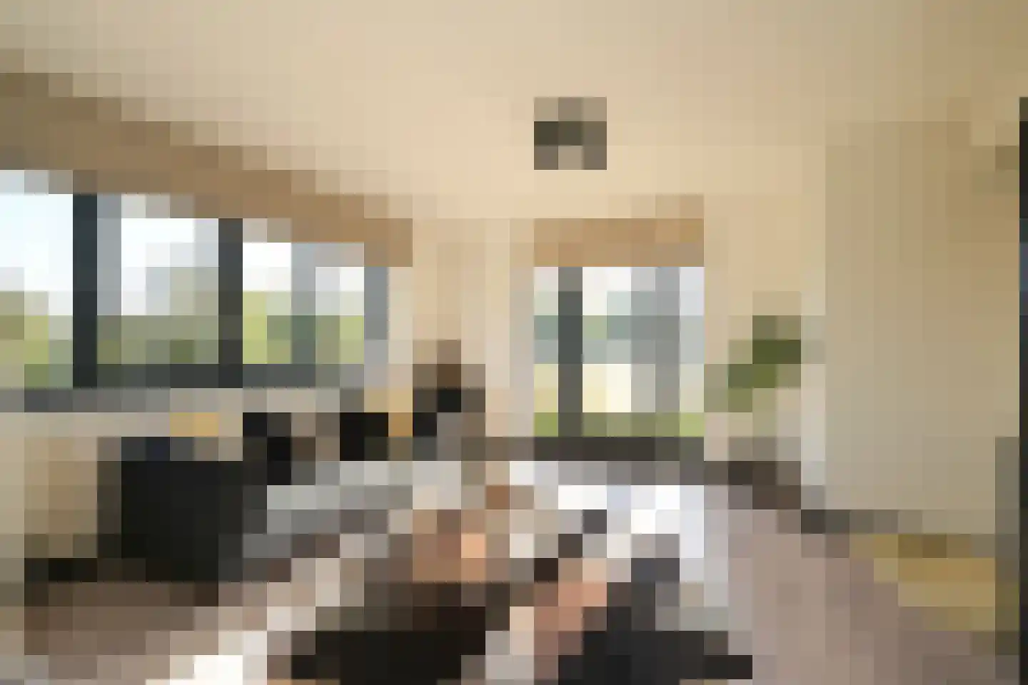 Hoek van Hollandlaan 1 Den Haag thumbnail 41