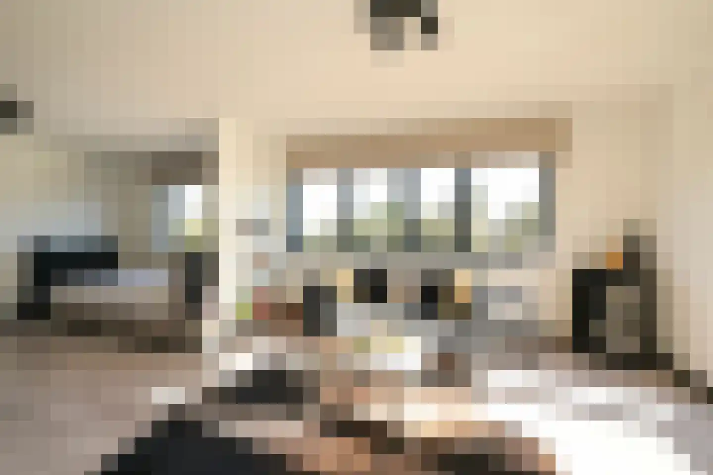Hoek van Hollandlaan 1 Den Haag thumbnail 44