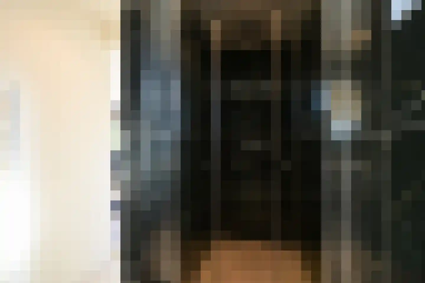 Hoek van Hollandlaan 1 Den Haag thumbnail 46