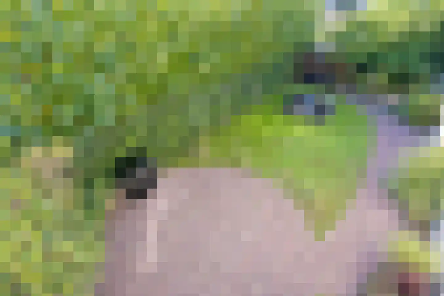 Hoek van Hollandlaan 1 Den Haag thumbnail 48