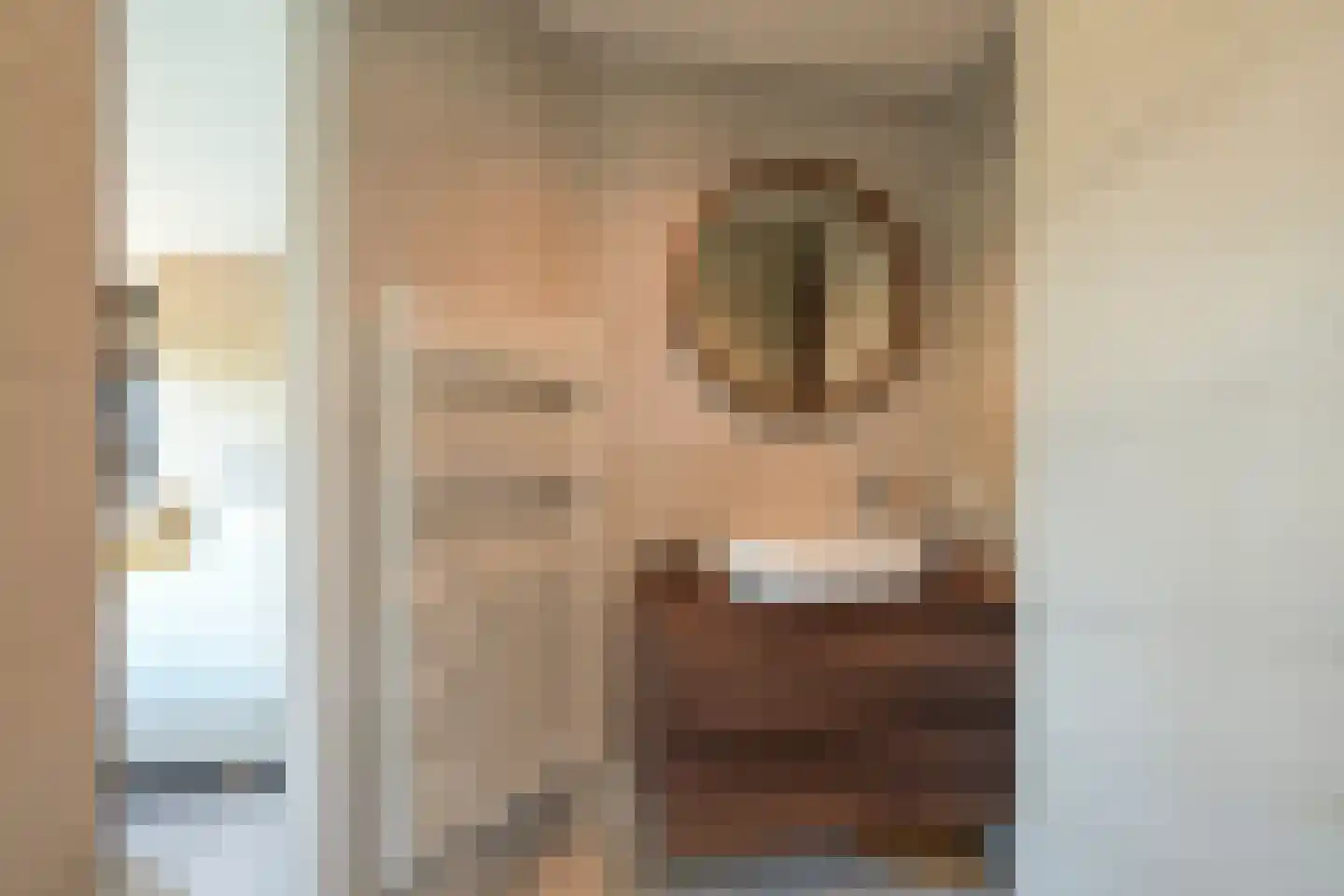 Hoek van Hollandlaan 1 Den Haag thumbnail 57
