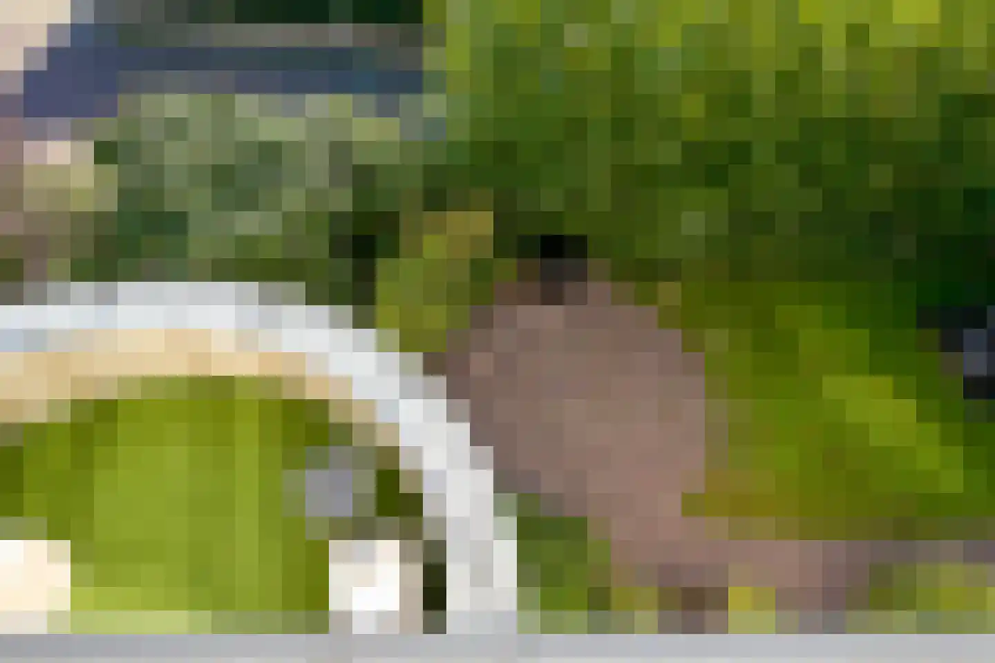 Hoek van Hollandlaan 1 Den Haag thumbnail 66