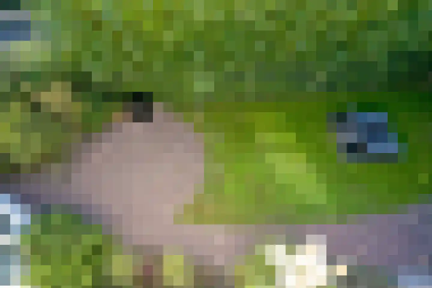 Hoek van Hollandlaan 1 Den Haag thumbnail 69