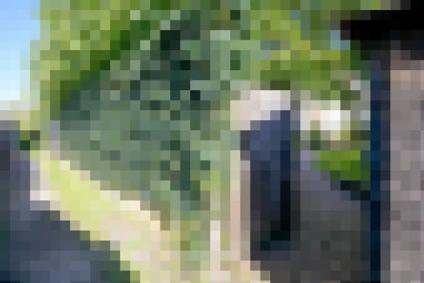 Hoek van Hollandlaan 1 Den Haag thumbnail 71