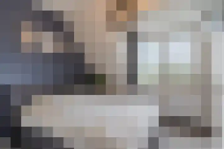 Hoekakker 10 Netersel thumbnail 20