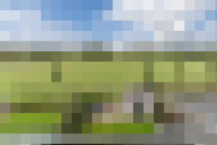 Hoekakker 10 Netersel thumbnail 35