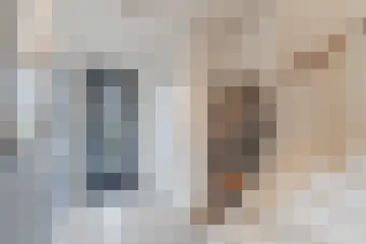 Hoekakker 10 Netersel thumbnail 4