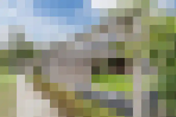 Hoekakker 10 Netersel thumbnail 42