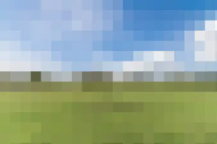 Hoekakker 10 Netersel thumbnail 47
