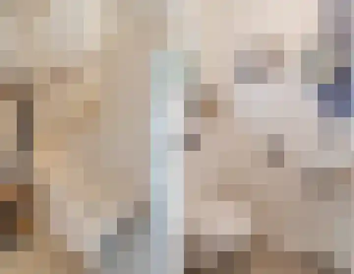 Hoekakker 10 Netersel thumbnail 7