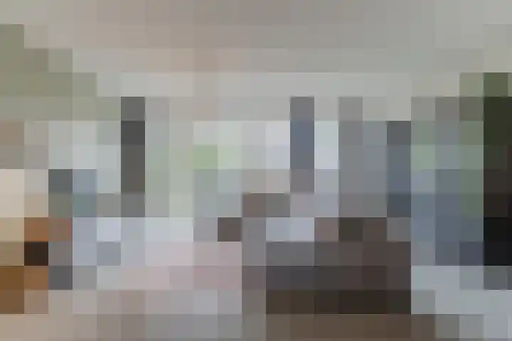 Hoekakker 10 Netersel thumbnail 9
