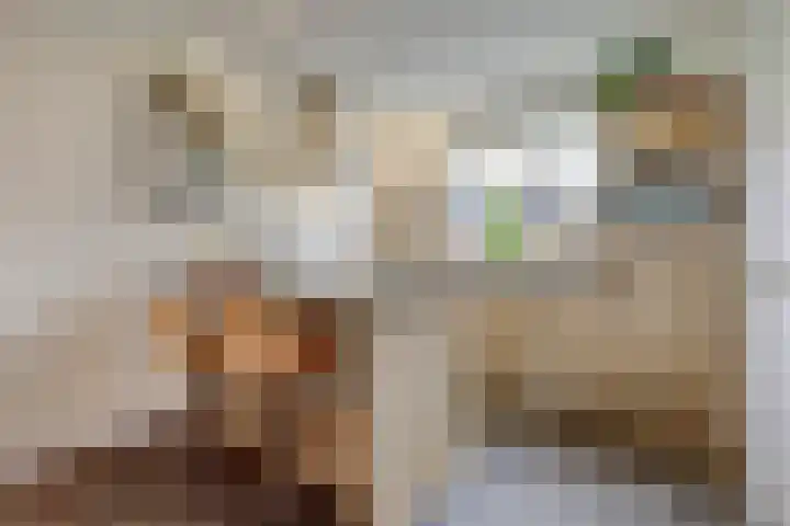 Hoekakker 12 Netersel thumbnail 11