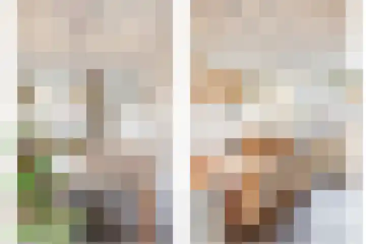 Hoekakker 12 Netersel thumbnail 16