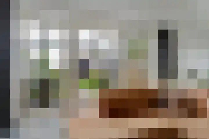 Hoekakker 12 Netersel thumbnail 21