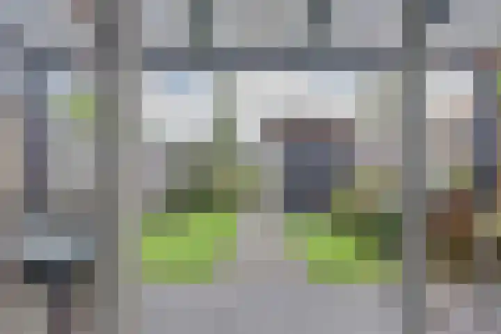 Hoekakker 12 Netersel thumbnail 22