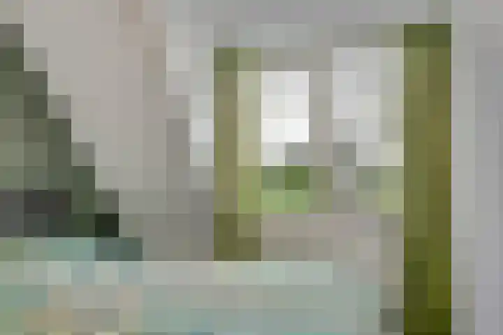 Hoekakker 12 Netersel thumbnail 25