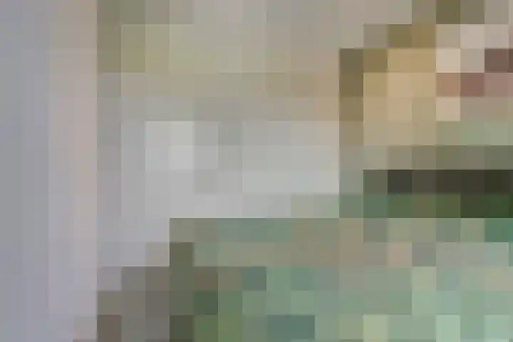 Hoekakker 12 Netersel thumbnail 26