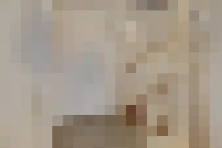 Hoekakker 12 Netersel thumbnail 33