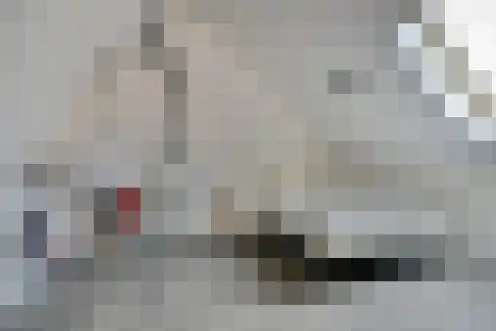 Hoekakker 12 Netersel thumbnail 34