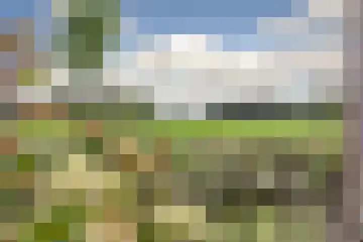 Hoekakker 12 Netersel thumbnail 42