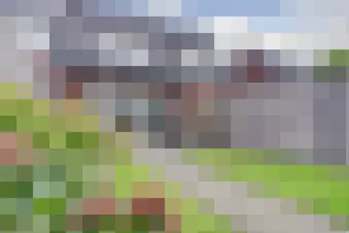Hoekakker 12 Netersel thumbnail 44