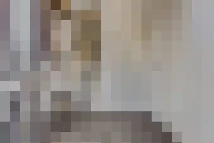 Hoekakker 12 Netersel thumbnail 5