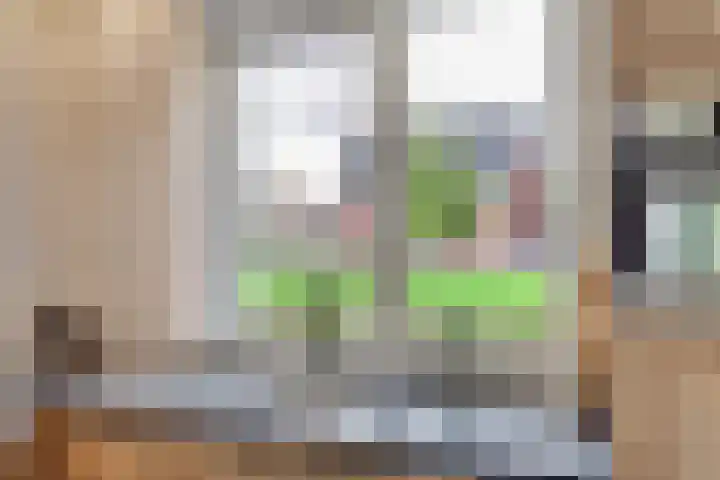 Hoekakker 12 Netersel thumbnail 9