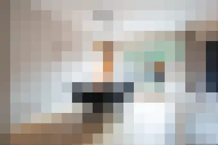 Hoekakker 21 Breda thumbnail 11