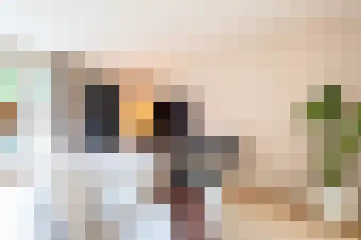 Hoekakker 21 Breda thumbnail 14
