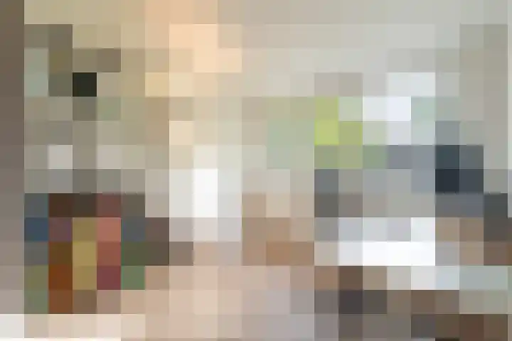 Hoekakker 21 Breda thumbnail 23