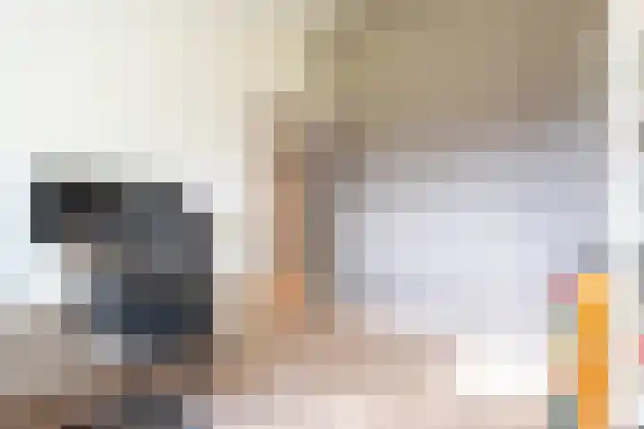 Hoekakker 21 Breda thumbnail 24