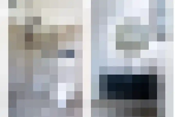 Hoekakker 21 Breda thumbnail 25