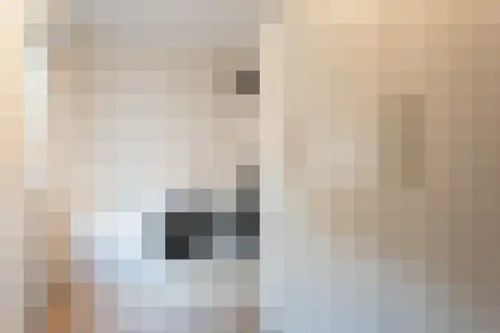 Hoekakker 21 Breda thumbnail 28